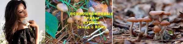 гидропоника Богданович