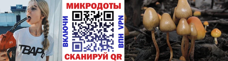 Галлюциногенные грибы мухоморы  Купить  Мензелинск 